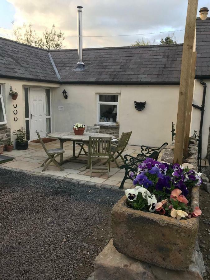 Tracey'S Farmhouse Cottage 벨파스트 외부 사진